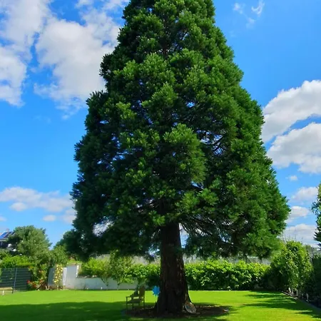 Moderne Mit Orientalischem Flair Und Top-lage Naeher Bonn アパート *